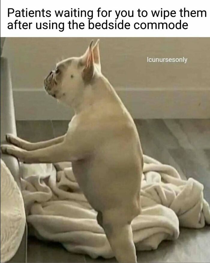 69 Painfully Relatable Nurse Memes That Perfectly Sum Up Hospital Life