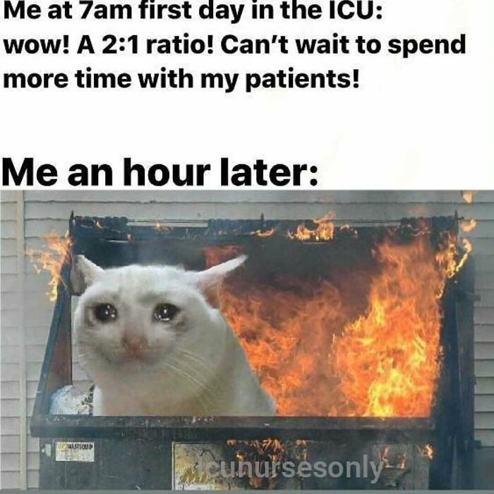 69 Painfully Relatable Nurse Memes That Perfectly Sum Up Hospital Life