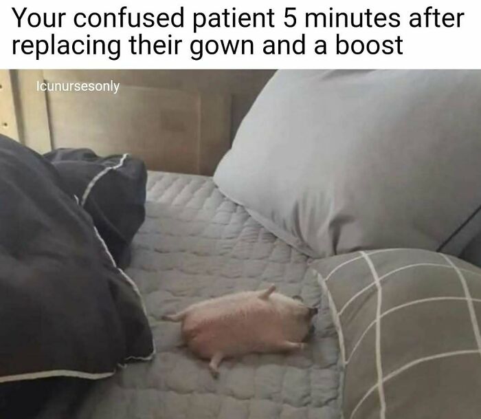 69 Painfully Relatable Nurse Memes That Perfectly Sum Up Hospital Life