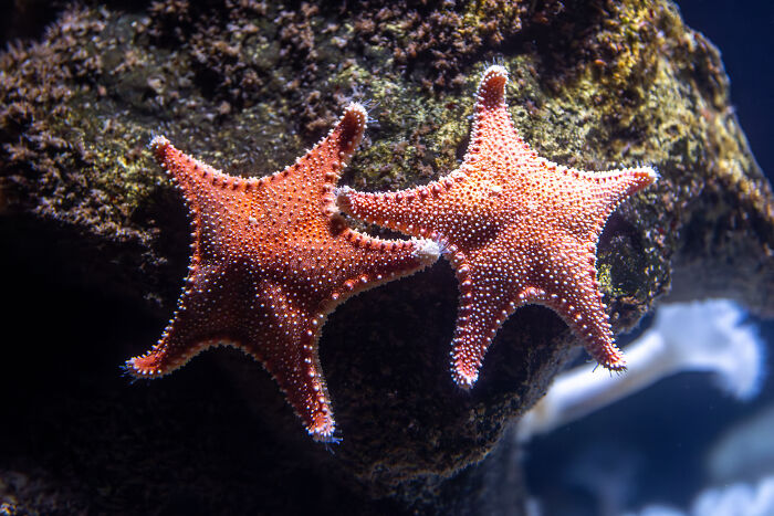 60 Fun Facts That Professionals Shared From Their Area Of Expertise
