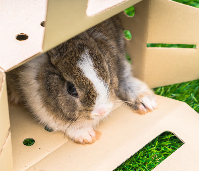 42 Of The Weirdest Packages Mailmen Found In Postboxes Or Had To Deliver