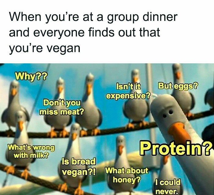 &ldquo;I Hate Myself, Not The Animals&rdquo;: 69 Funny Memes For Vegans Who Are Tired Of The Same Three Jokes