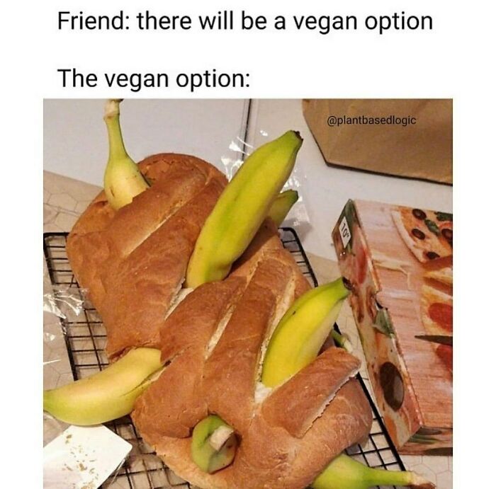 &ldquo;I Hate Myself, Not The Animals&rdquo;: 69 Funny Memes For Vegans Who Are Tired Of The Same Three Jokes