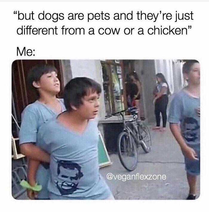 &ldquo;I Hate Myself, Not The Animals&rdquo;: 69 Funny Memes For Vegans Who Are Tired Of The Same Three Jokes