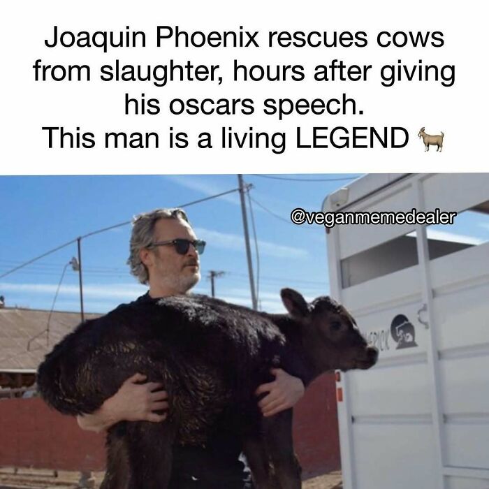 &ldquo;I Hate Myself, Not The Animals&rdquo;: 69 Funny Memes For Vegans Who Are Tired Of The Same Three Jokes