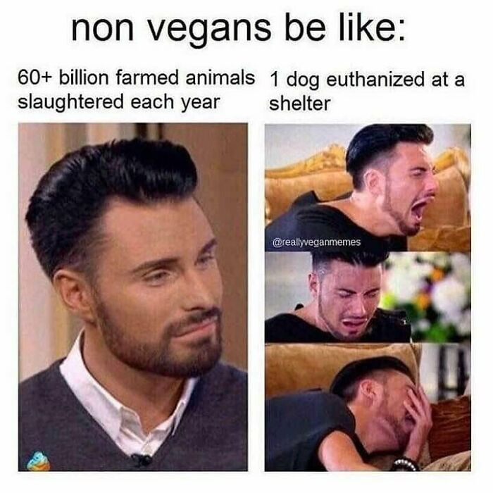 &ldquo;I Hate Myself, Not The Animals&rdquo;: 69 Funny Memes For Vegans Who Are Tired Of The Same Three Jokes