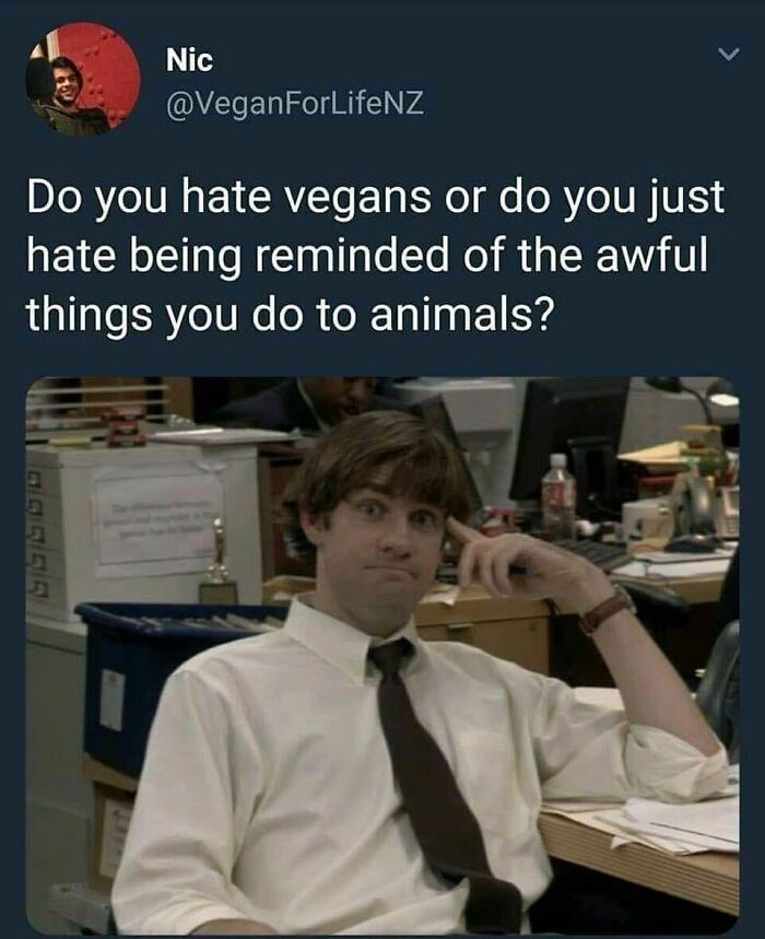 &ldquo;I Hate Myself, Not The Animals&rdquo;: 69 Funny Memes For Vegans Who Are Tired Of The Same Three Jokes