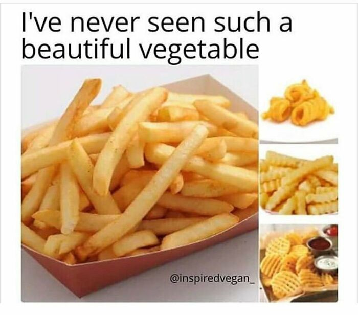 &ldquo;I Hate Myself, Not The Animals&rdquo;: 69 Funny Memes For Vegans Who Are Tired Of The Same Three Jokes