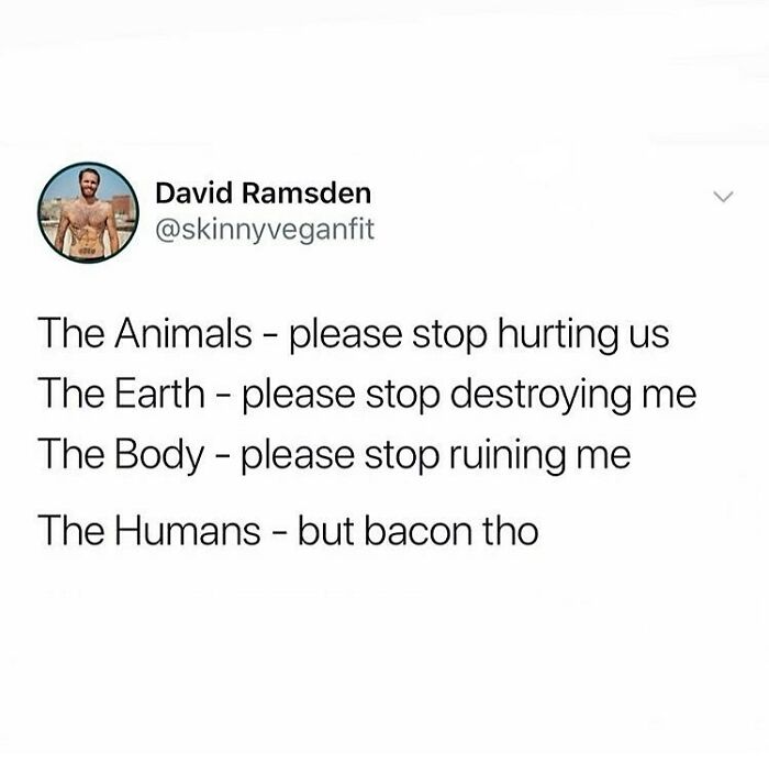 &ldquo;I Hate Myself, Not The Animals&rdquo;: 69 Funny Memes For Vegans Who Are Tired Of The Same Three Jokes