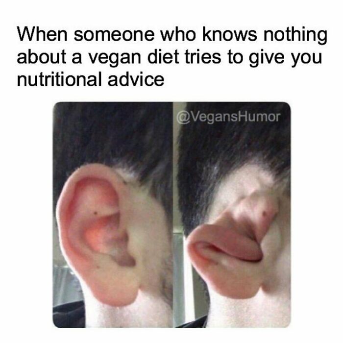 &ldquo;I Hate Myself, Not The Animals&rdquo;: 69 Funny Memes For Vegans Who Are Tired Of The Same Three Jokes