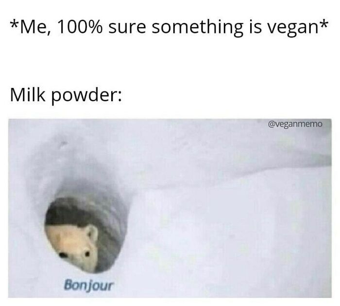 &ldquo;I Hate Myself, Not The Animals&rdquo;: 69 Funny Memes For Vegans Who Are Tired Of The Same Three Jokes