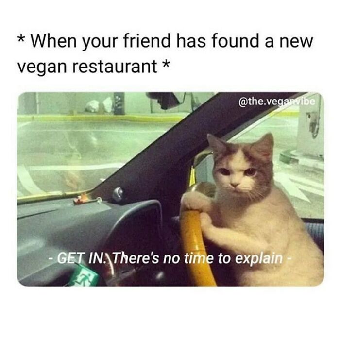 &ldquo;I Hate Myself, Not The Animals&rdquo;: 69 Funny Memes For Vegans Who Are Tired Of The Same Three Jokes