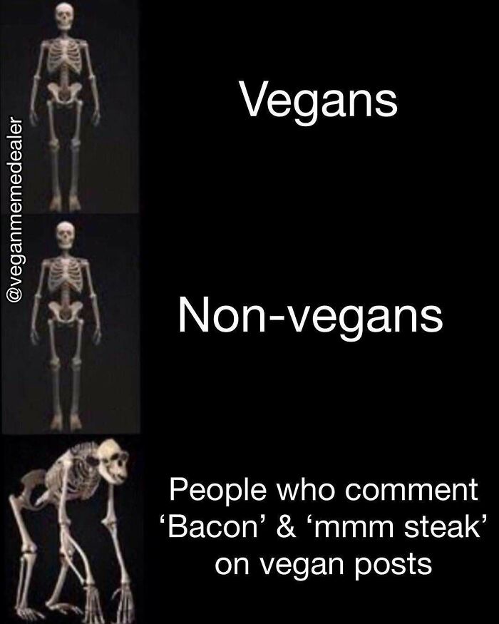 &ldquo;I Hate Myself, Not The Animals&rdquo;: 69 Funny Memes For Vegans Who Are Tired Of The Same Three Jokes