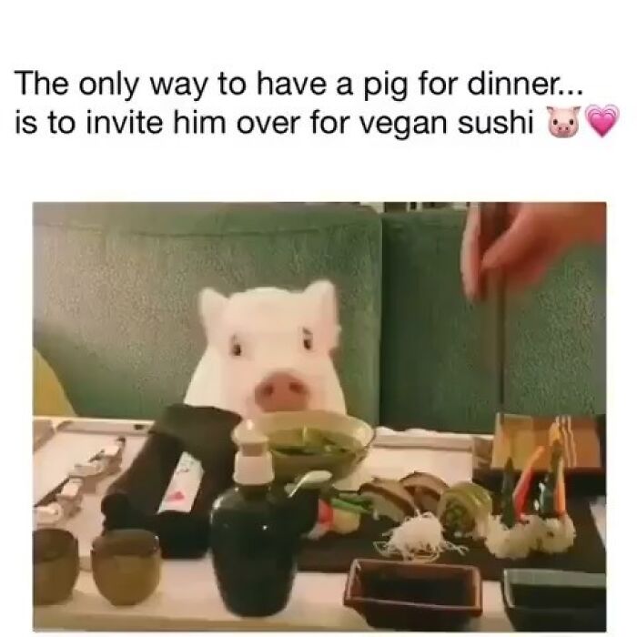 &ldquo;I Hate Myself, Not The Animals&rdquo;: 69 Funny Memes For Vegans Who Are Tired Of The Same Three Jokes