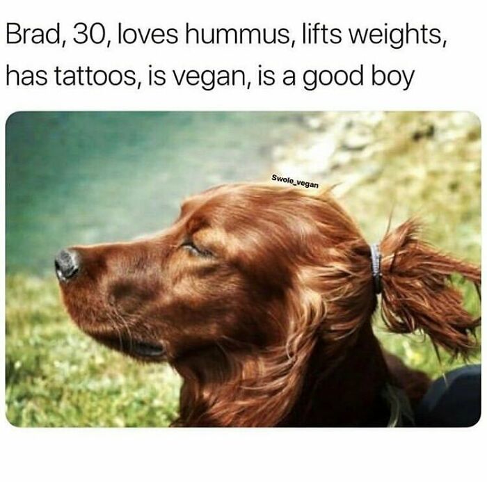 &ldquo;I Hate Myself, Not The Animals&rdquo;: 69 Funny Memes For Vegans Who Are Tired Of The Same Three Jokes