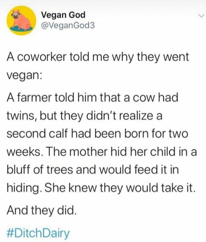 &ldquo;I Hate Myself, Not The Animals&rdquo;: 69 Funny Memes For Vegans Who Are Tired Of The Same Three Jokes