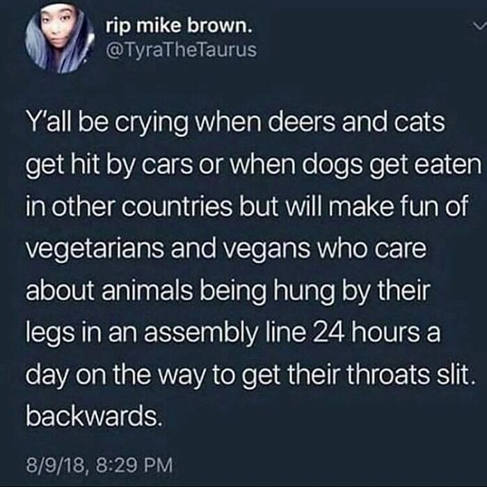 &ldquo;I Hate Myself, Not The Animals&rdquo;: 69 Funny Memes For Vegans Who Are Tired Of The Same Three Jokes