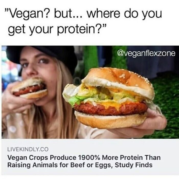 &ldquo;I Hate Myself, Not The Animals&rdquo;: 69 Funny Memes For Vegans Who Are Tired Of The Same Three Jokes