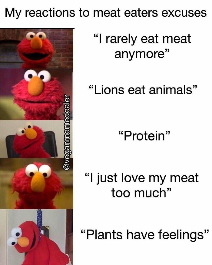 &ldquo;I Hate Myself, Not The Animals&rdquo;: 69 Funny Memes For Vegans Who Are Tired Of The Same Three Jokes