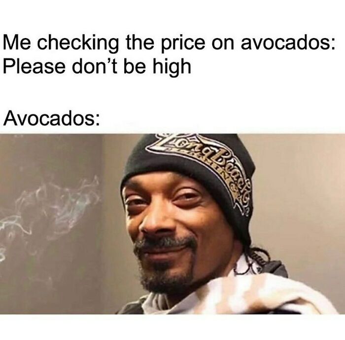 &ldquo;I Hate Myself, Not The Animals&rdquo;: 69 Funny Memes For Vegans Who Are Tired Of The Same Three Jokes