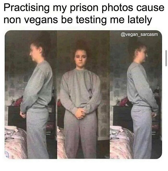 &ldquo;I Hate Myself, Not The Animals&rdquo;: 69 Funny Memes For Vegans Who Are Tired Of The Same Three Jokes