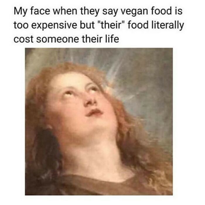 &ldquo;I Hate Myself, Not The Animals&rdquo;: 69 Funny Memes For Vegans Who Are Tired Of The Same Three Jokes