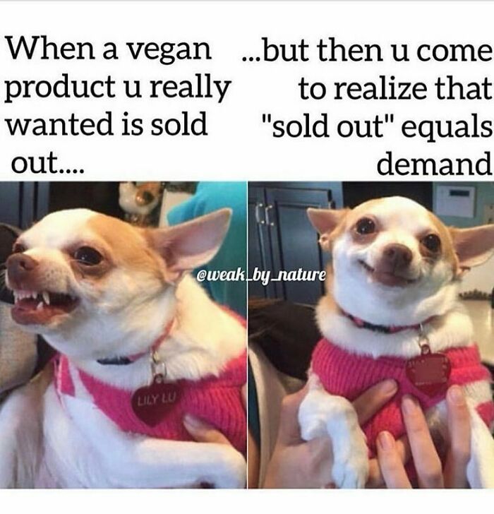 &ldquo;I Hate Myself, Not The Animals&rdquo;: 69 Funny Memes For Vegans Who Are Tired Of The Same Three Jokes