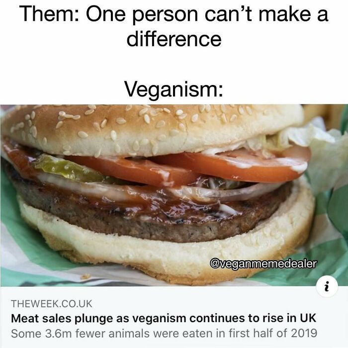 &ldquo;I Hate Myself, Not The Animals&rdquo;: 69 Funny Memes For Vegans Who Are Tired Of The Same Three Jokes