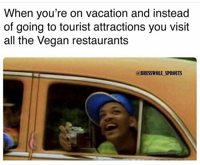&ldquo;I Hate Myself, Not The Animals&rdquo;: 69 Funny Memes For Vegans Who Are Tired Of The Same Three Jokes