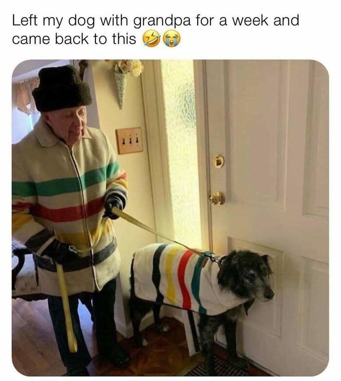 If You Are Feeling Down, These 83 Positive Posts Might Make Your Day (New Pics)