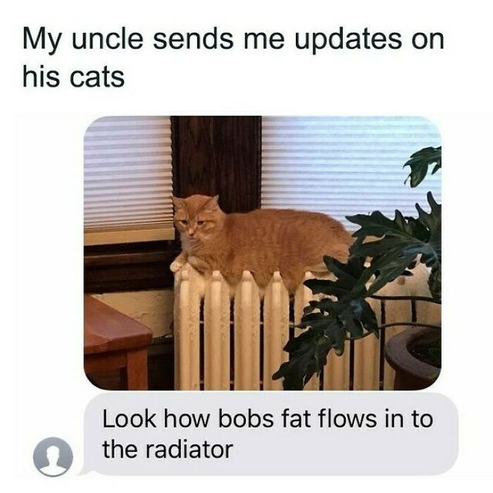 If You Are Feeling Down, These 83 Positive Posts Might Make Your Day (New Pics)