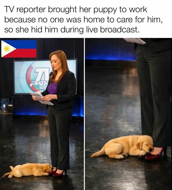 If You Are Feeling Down, These 83 Positive Posts Might Make Your Day (New Pics)
