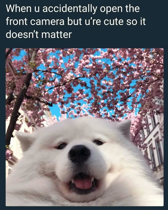 If You Are Feeling Down, These 83 Positive Posts Might Make Your Day (New Pics)