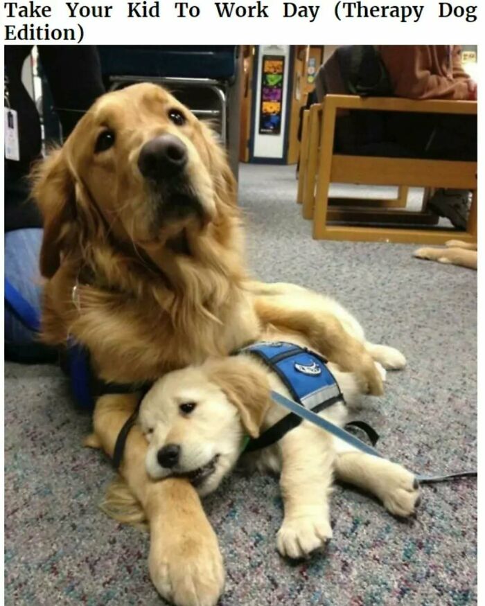 If You Are Feeling Down, These 83 Positive Posts Might Make Your Day (New Pics)