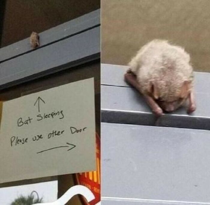 If You Are Feeling Down, These 83 Positive Posts Might Make Your Day (New Pics)