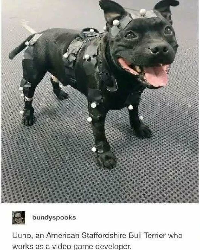 If You Are Feeling Down, These 83 Positive Posts Might Make Your Day (New Pics)