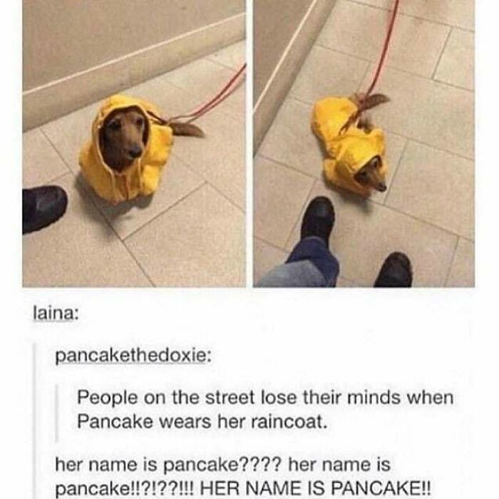 If You Are Feeling Down, These 83 Positive Posts Might Make Your Day (New Pics)