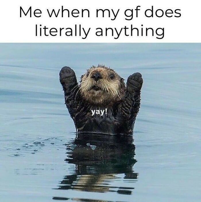 If You Are Feeling Down, These 83 Positive Posts Might Make Your Day (New Pics)