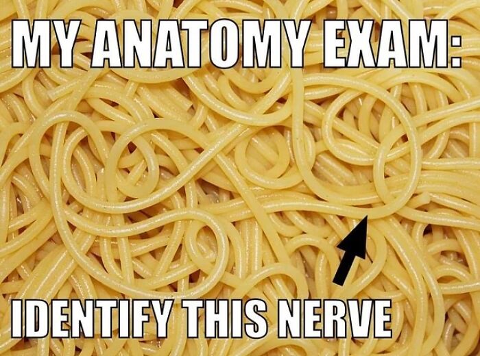 71 Medical Memes For Doctors, Nurses, And Anyone Who&rsquo;s Ever Googled Their Symptoms