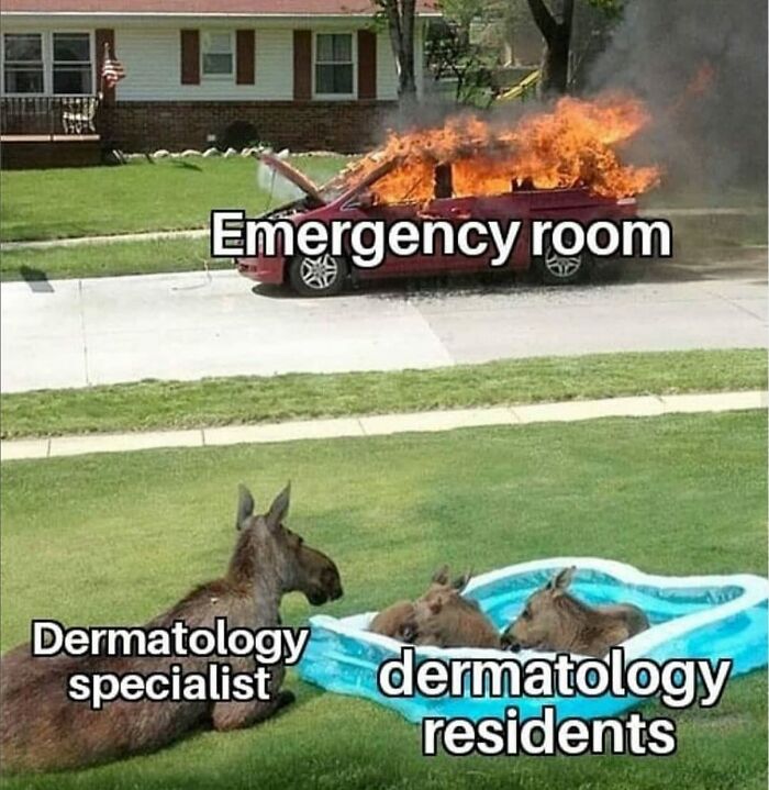 71 Medical Memes For Doctors, Nurses, And Anyone Who&rsquo;s Ever Googled Their Symptoms