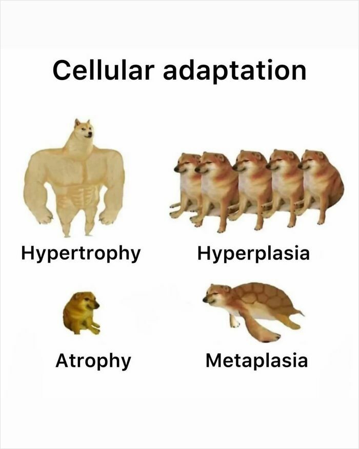 71 Medical Memes For Doctors, Nurses, And Anyone Who&rsquo;s Ever Googled Their Symptoms