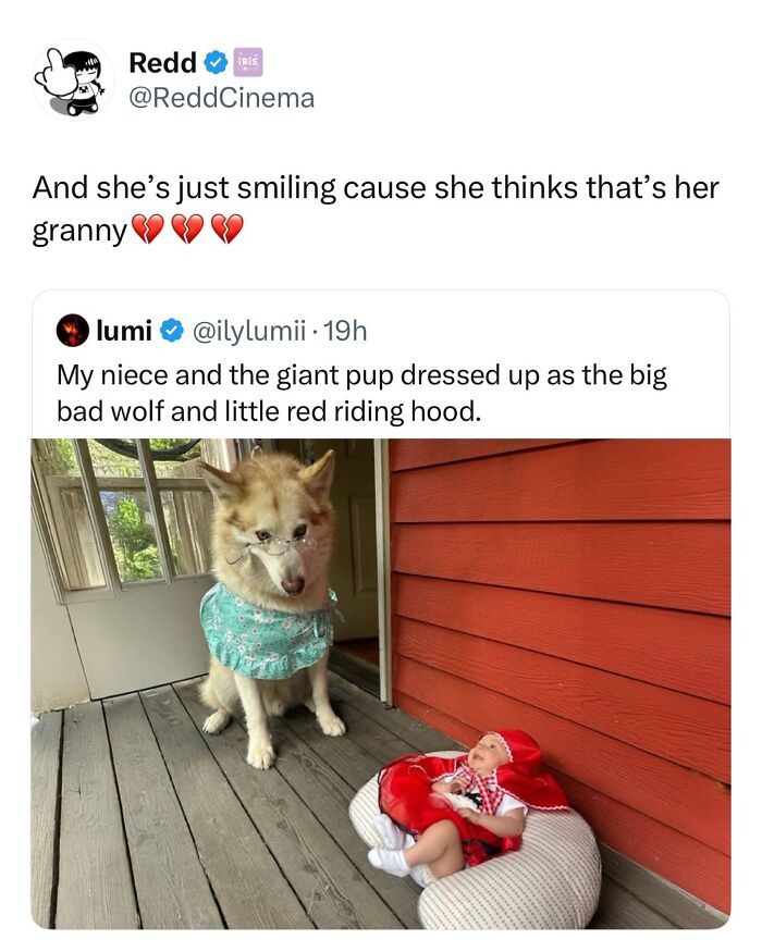 This Page Shared 38 Hilarious Dog Memes That Show How Weird And Wonderful Man&rsquo;s Best Friend Is