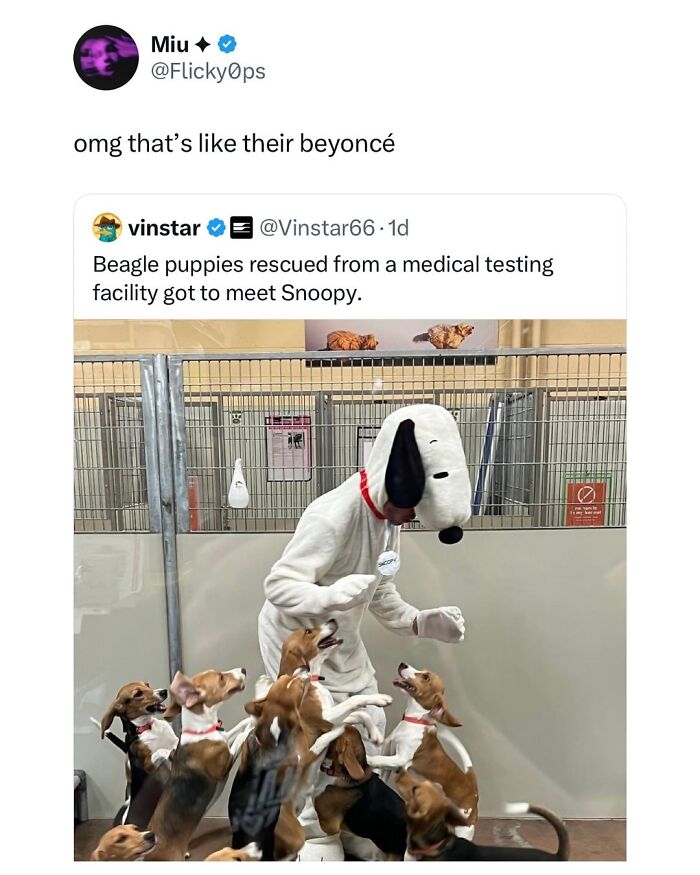 This Page Shared 38 Hilarious Dog Memes That Show How Weird And Wonderful Man&rsquo;s Best Friend Is