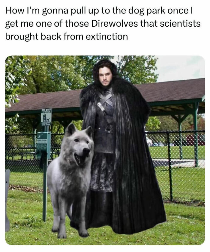 This Page Shared 38 Hilarious Dog Memes That Show How Weird And Wonderful Man&rsquo;s Best Friend Is