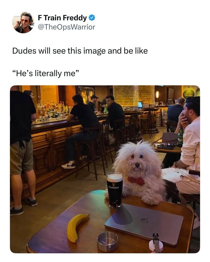 This Page Shared 38 Hilarious Dog Memes That Show How Weird And Wonderful Man&rsquo;s Best Friend Is