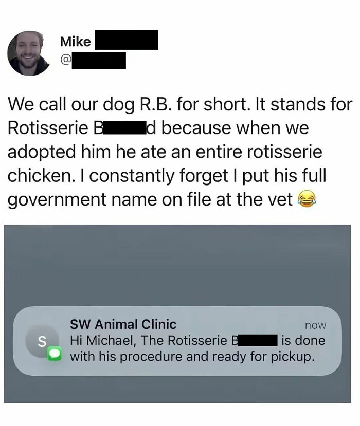 This Page Shared 38 Hilarious Dog Memes That Show How Weird And Wonderful Man&rsquo;s Best Friend Is