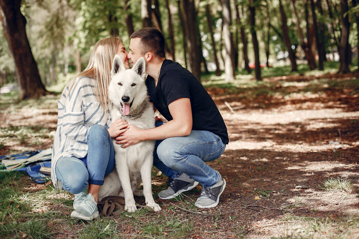 46 Hilarious Engagement Stories That Prove Love Is Equal Parts Romance And Chaos
