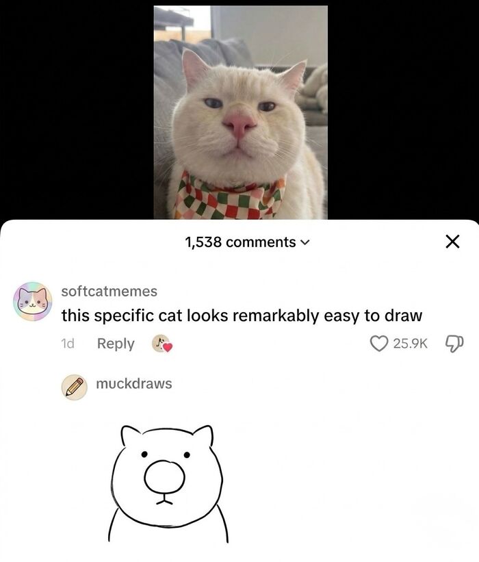 This Community Shared 45 Hilarious Cat Moments That Perfectly Capture Their Weirdness (New Pics)