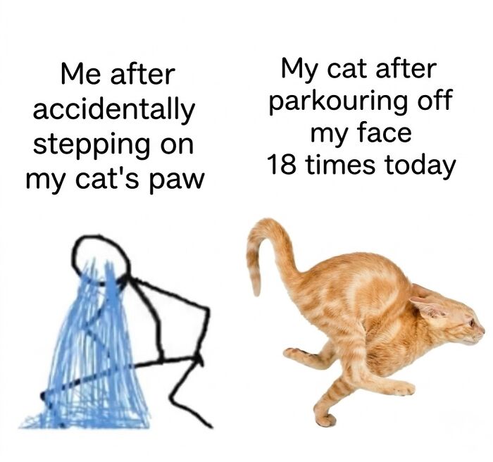 This Community Shared 45 Hilarious Cat Moments That Perfectly Capture Their Weirdness (New Pics)