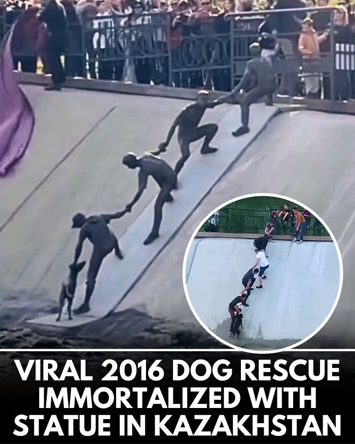 ‘We Rate Dogs’ Shared 32 New Stories That Are Funny, Emotional, And Absolutely Heartwarming